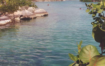 Snorkelers swimming in the clear waters of the lagoon.