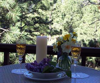 A champagne toast in the forest