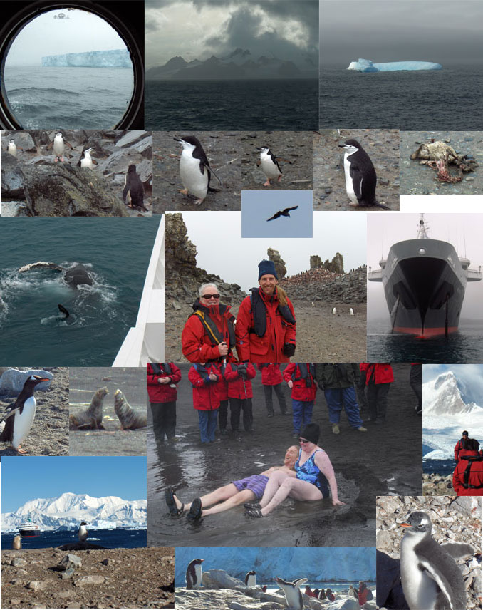 Snapshots from landings at Half-Moon and Deception Islands